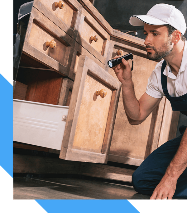 Pest Inspections Quality Home Inspection Services Quality Home Inspection Services LLC